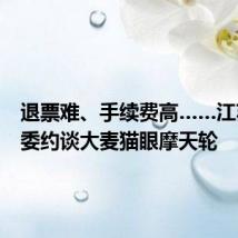 退票难、手续费高……江苏消保委约谈大麦猫眼摩天轮