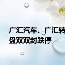 广汇汽车、广汇转债尾盘双双封跌停