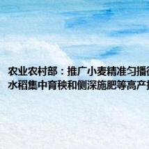 农业农村部:推广小麦精准匀播微喷灌、水稻集中育秧和侧深施肥等高产技术模式