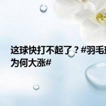 这球快打不起了？#羽毛球价格为何大涨#