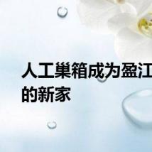 人工巢箱成为盈江犀鸟的新家