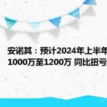 安诺其：预计2024年上半年净利润1000万至1200万 同比扭亏为盈