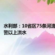 水利部:10省区75条河流发生超警以上洪水