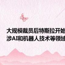 大规模裁员后特斯拉开始招聘,涉AI和机器人技术等领域