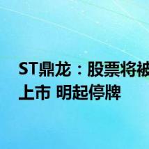 ST鼎龙:股票将被终止上市 明起停牌