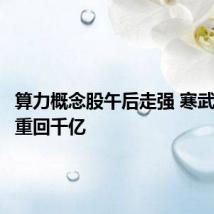 算力概念股午后走强 寒武纪市值重回千亿