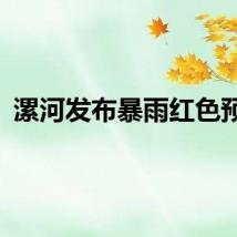 漯河发布暴雨红色预警