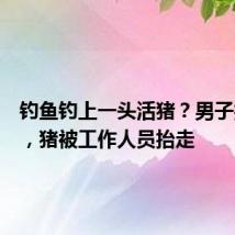 钓鱼钓上一头活猪？男子报警后，猪被工作人员抬走
