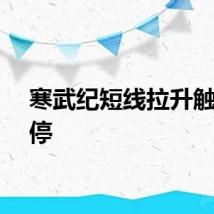 寒武纪短线拉升触及涨停