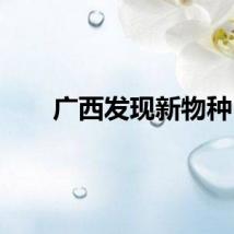 广西发现新物种