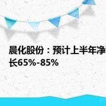 晨化股份：预计上半年净利润增长65%-85%