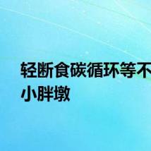 轻断食碳循环等不适合小胖墩