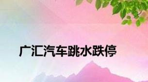 广汇汽车跳水跌停