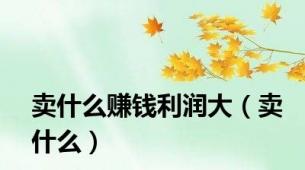卖什么赚钱利润大（卖什么）