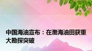 中国海油宣布：在渤海油田获重大勘探突破