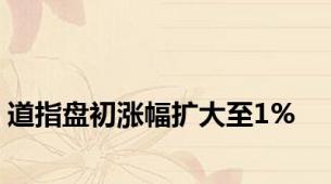 道指盘初涨幅扩大至1%
