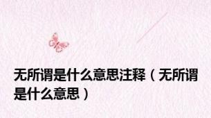 无所谓是什么意思注释（无所谓是什么意思）