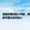 摇摇床睡觉的小熊猫，朦胧的眼睛可爱治愈你的心