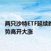 两只沙特ETF延续昨日涨势高开大涨