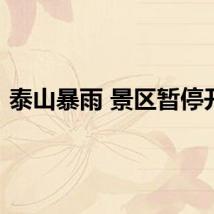泰山暴雨 景区暂停开放