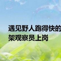遇见野人跑得快的神农架观察员上岗