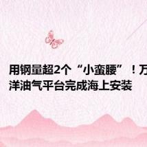 用钢量超2个“小蛮腰”！万吨级海洋油气平台完成海上安装