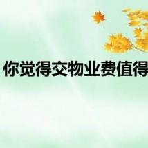 你觉得交物业费值得吗？
