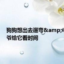 狗狗想出去遛弯 爷爷给它看时间