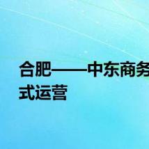 合肥——中东商务港正式运营