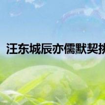 汪东城辰亦儒默契挑战