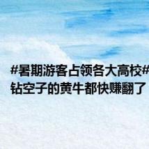 #暑期游客占领各大高校#,带人钻空子的黄牛都快赚翻了