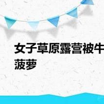 女子草原露营被牛抢走菠萝