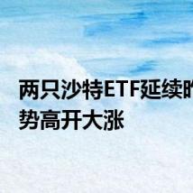 两只沙特ETF延续昨日涨势高开大涨