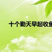 十个勤天早起收鱼