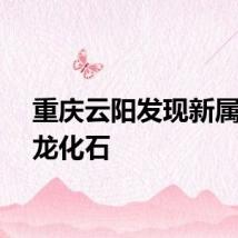 重庆云阳发现新属种恐龙化石