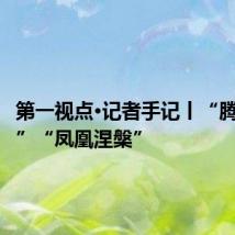 第一视点·记者手记丨“腾笼换鸟”“凤凰涅槃”