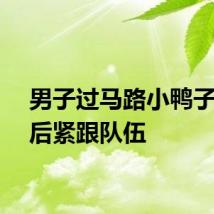 男子过马路小鸭子掉落后紧跟队伍