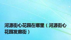 河源街心花园在哪里（河源街心花园发廊街）