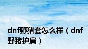dnf野猪套怎么样（dnf野猪护肩）