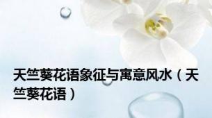 天竺葵花语象征与寓意风水（天竺葵花语）