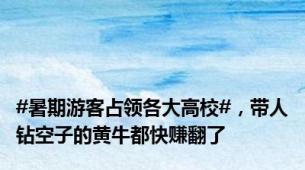 #暑期游客占领各大高校#，带人钻空子的黄牛都快赚翻了