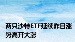 两只沙特ETF延续昨日涨势高开大涨