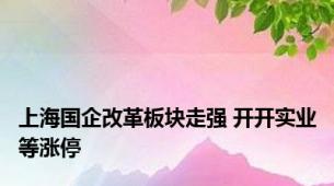 上海国企改革板块走强 开开实业等涨停