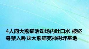 4人向大熊猫活动场内吐口水 被终身禁入卧龙大熊猫苑神树坪基地