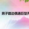 男子路边偶遇巨型秃鹫