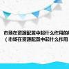 市场在资源配置中起什么作用的经济体制（市场在资源配置中起什么作用）