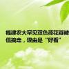 福建农大罕见双色荷花疑被一对情侣摘走，理由是“好看”