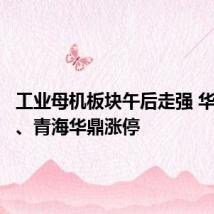 工业母机板块午后走强 华东重机、青海华鼎涨停