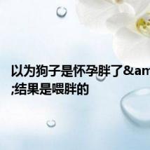 以为狗子是怀孕胖了 结果是喂胖的