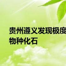 贵州遵义发现极度濒危物种化石